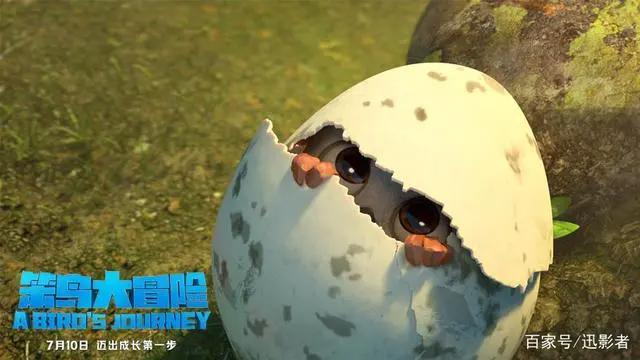 合家欢必看《笨鸟大冒险》欢乐来袭，有笑有泪高能欢乐