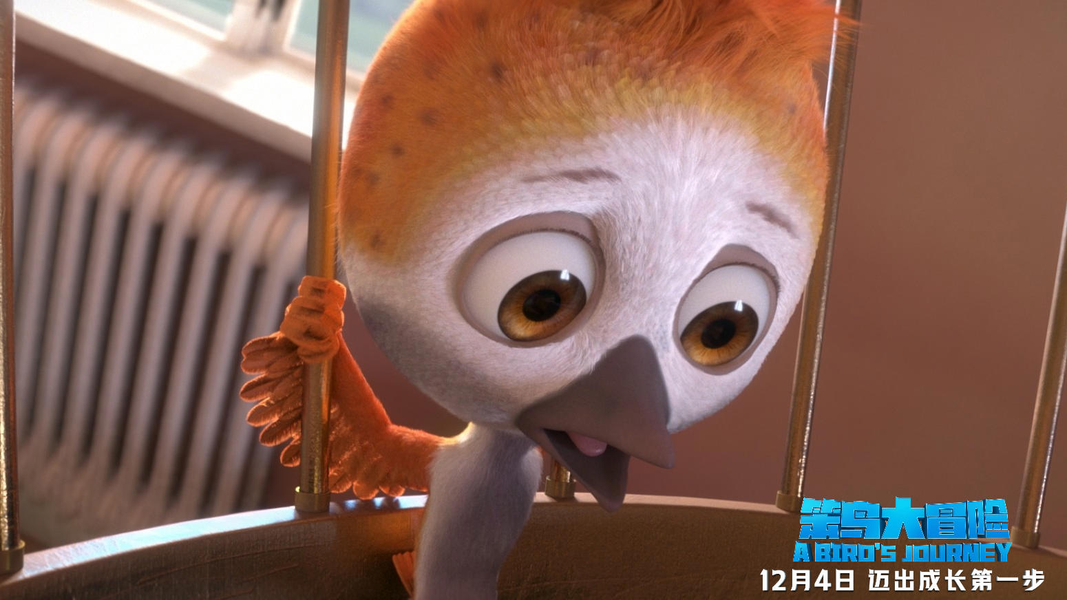 动画电影《笨鸟大冒险》12月4日欢乐来袭，有笑有泪高能欢乐！