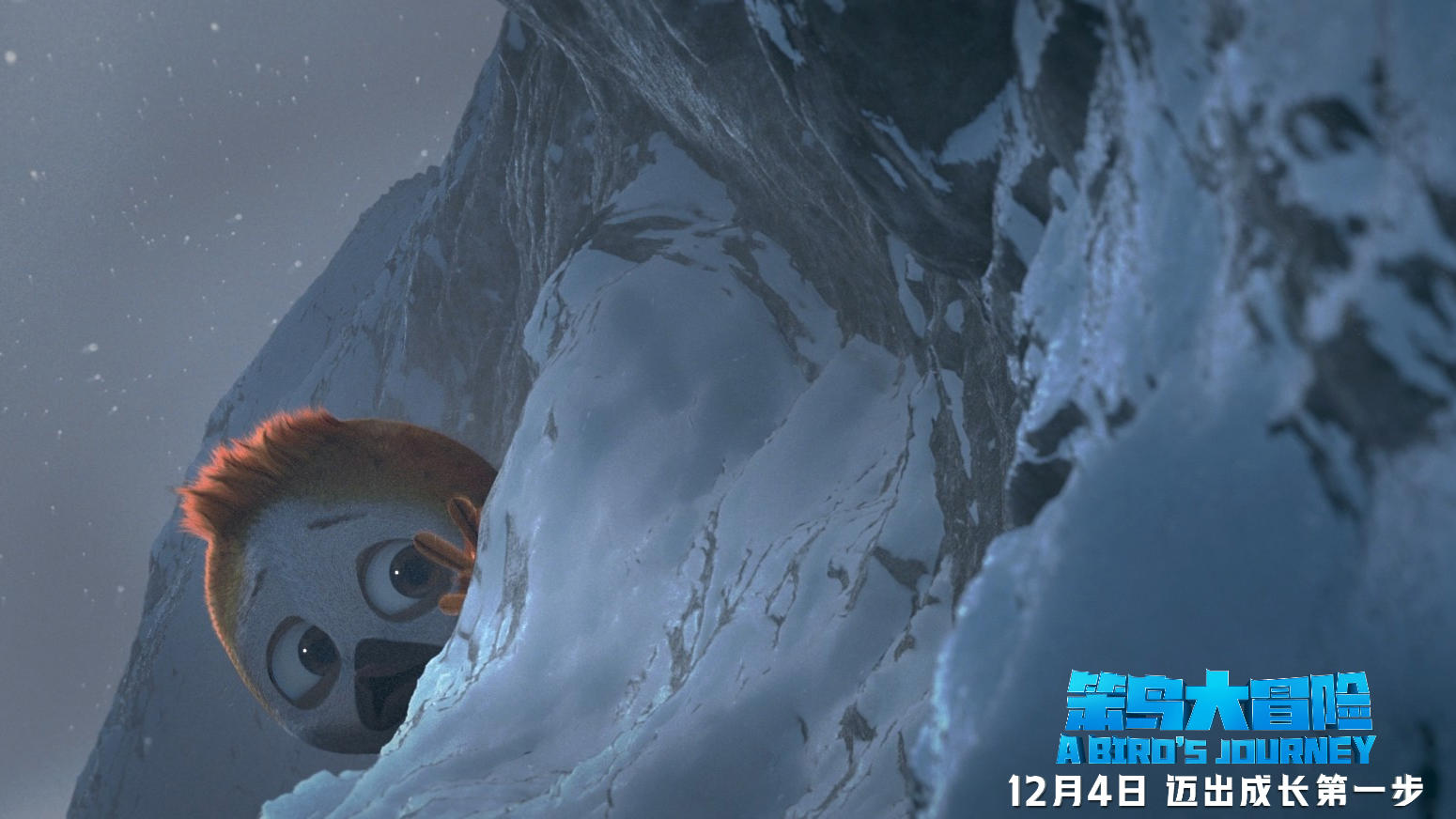 温馨合家欢动画电影《笨鸟大冒险》开启冒险之旅成长道路家是方向