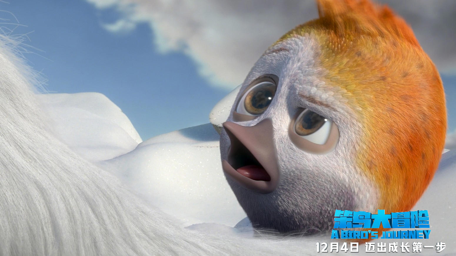 温馨合家欢动画电影《笨鸟大冒险》开启冒险之旅成长道路家是方向
