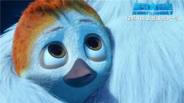 动画电影《笨鸟大冒险》曝定档预告12月4日上映