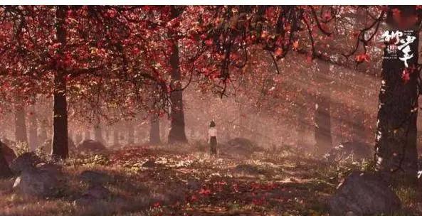 《雄狮少年》动画片：唤醒沉睡在观众心中的“雄狮”