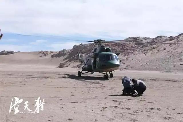 9月观影必备指南|没了国产保护月，院线新片竟然如此精彩！