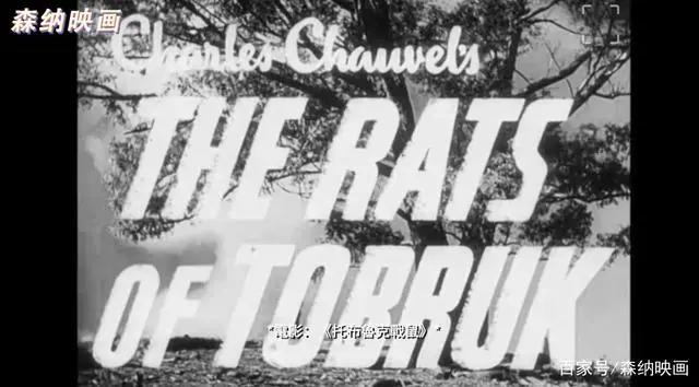 这是我见过最离谱的二战剧情游戏