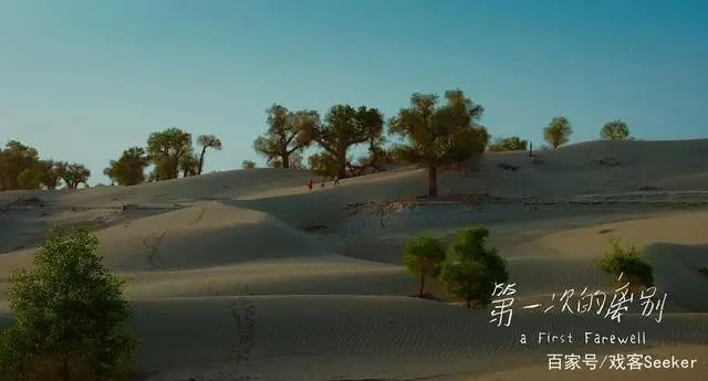 影院终于复工！你会为哪部电影走进电影院？