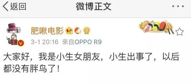 刷屏、剧透、404……这一年我都看了些什么？