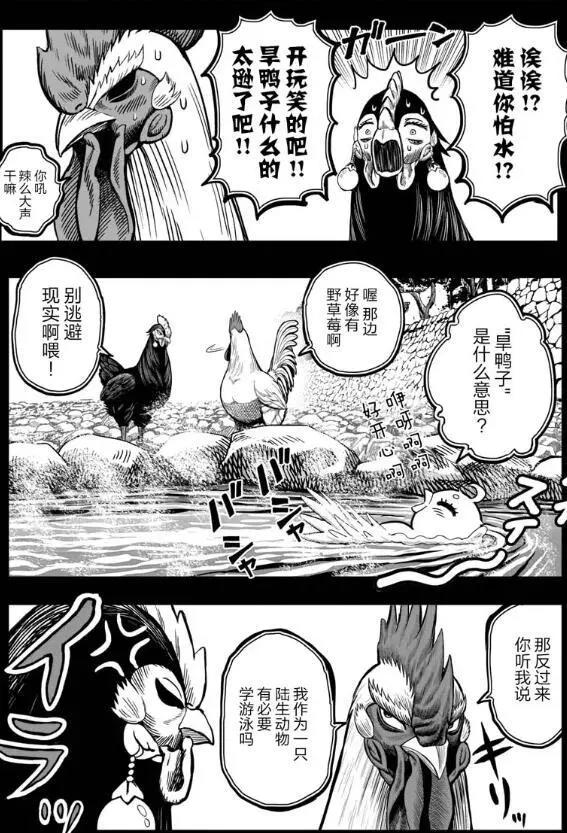 以鸡为主角的漫画，本以为一家三口，结果一个是“小三”