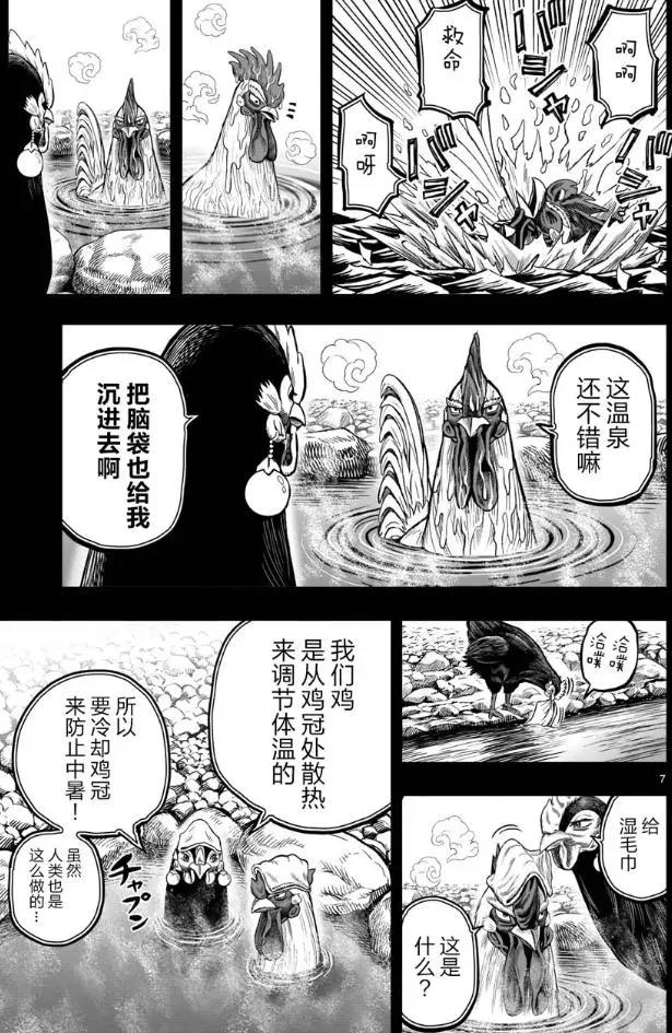 以鸡为主角的漫画，本以为一家三口，结果一个是“小三”
