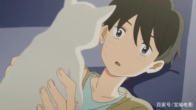 日本超治愈动漫电影《无限》，少女为爱变身为猫！
