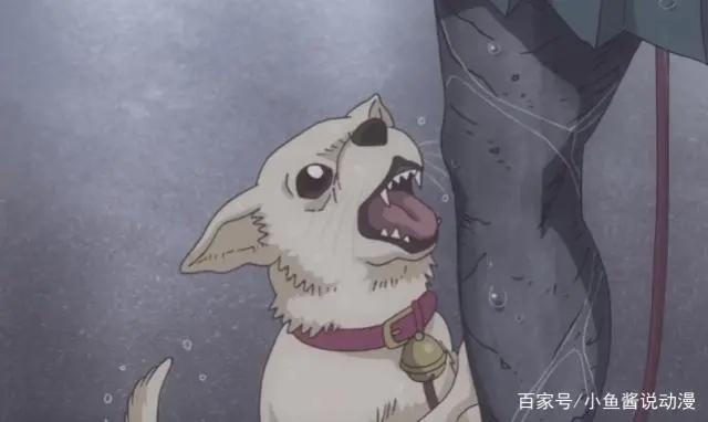 这是一部为“杠”而生的动漫！