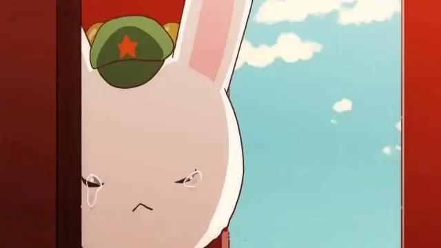 你有没有为动漫中的我兔而感动