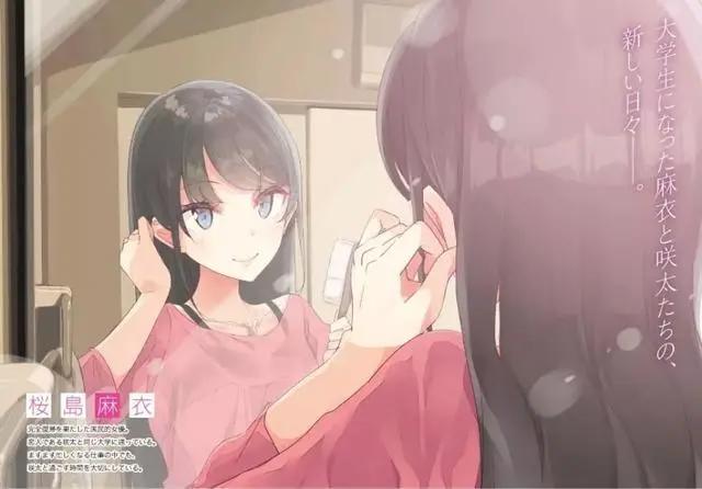 《青春猪头少年不会梦到兔女郎学姐》轻小说第1~10卷