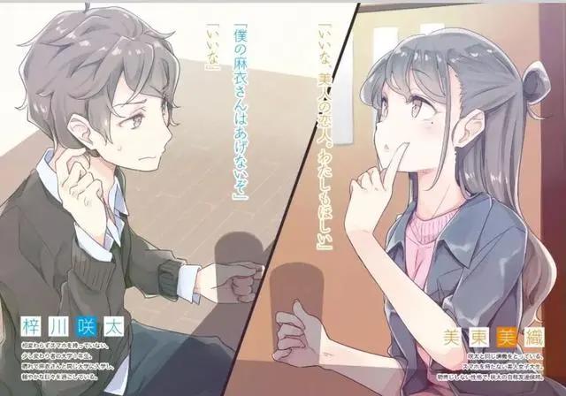 《青春猪头少年不会梦到兔女郎学姐》轻小说第1~10卷