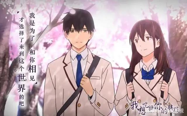 差点因名字错过的9部动漫，看过的都赚到了