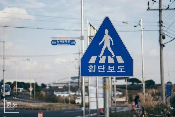 与权志龙小迷妹玩转济州神话世界