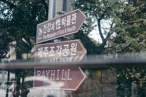 与权志龙小迷妹玩转济州神话世界