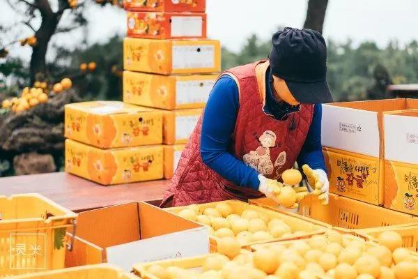 与权志龙小迷妹玩转济州神话世界