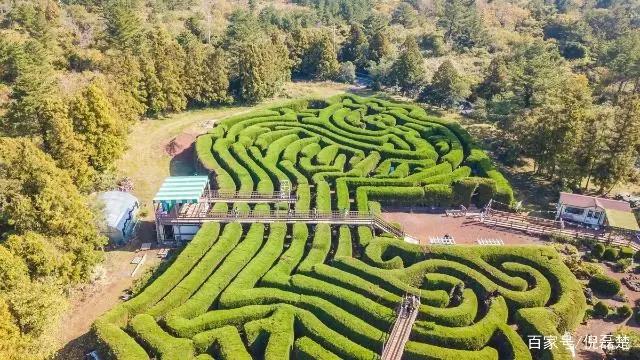 关于济州岛的记忆，这里有一个温暖的港湾