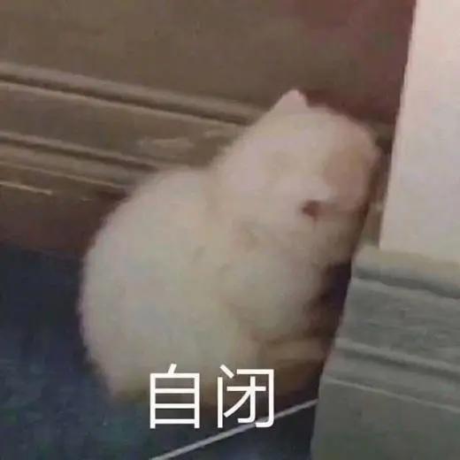 传统动作游戏发展史：从大金刚到DNF到鬼泣动作游戏未来将如何？