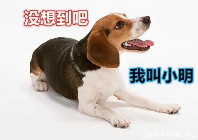 动漫背后：从7月动画《彼方的阿斯特拉》，谈动漫中的叙述性诡计