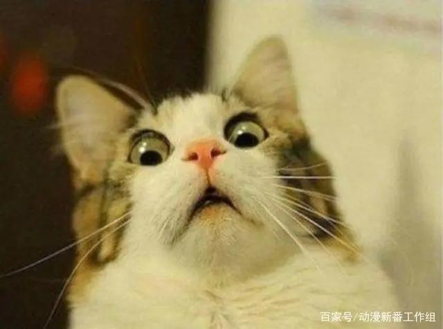 动漫背后：从7月动画《彼方的阿斯特拉》，谈动漫中的叙述性诡计