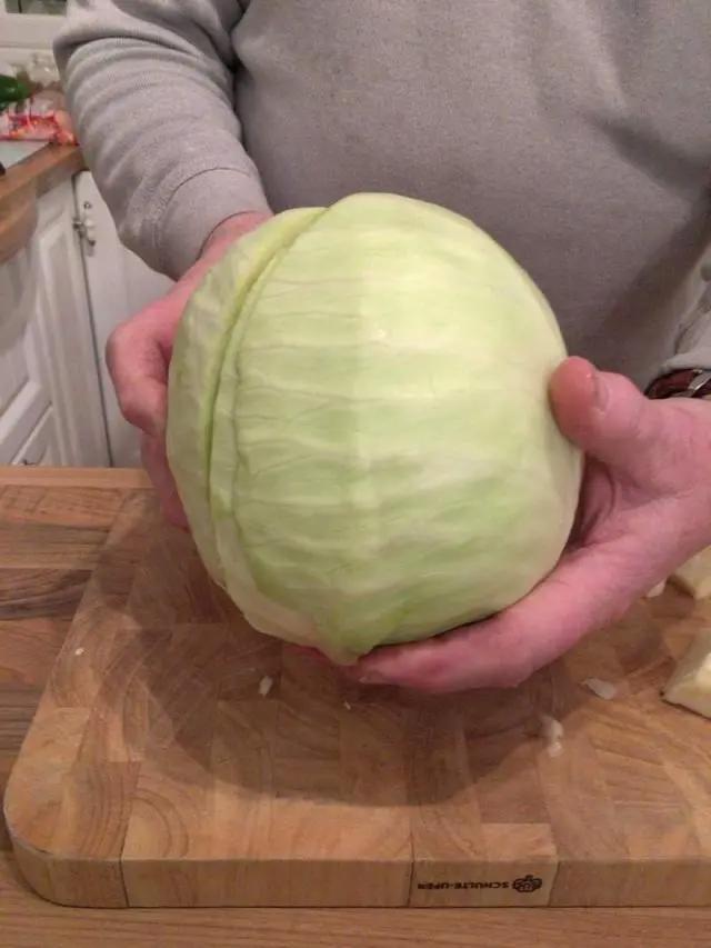 卷心菜作画崩坏史：二次元崩坏到三次元从此动画界没人敢画卷心菜