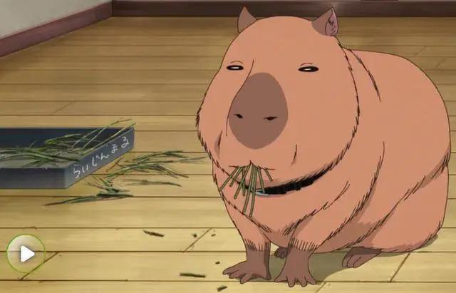 JUMP动漫吉祥物TOP20，最具代表性的前三名是谁？