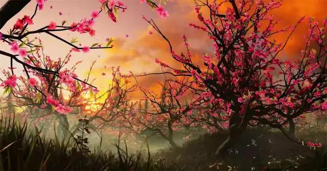 唐家三少又一部作品定档，霍雨浩直呼内行，类型却被改成美食番