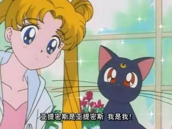 猫为何成为东亚动画片的超级IP