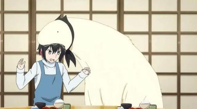 嫁给“非人类”是一种什么样的体验？这部动漫或许可以给你答案