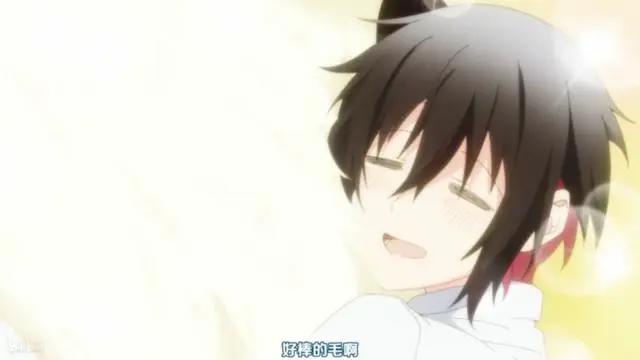 《非人先生的新娘/嫁给非人类》绒毛控的天堂？