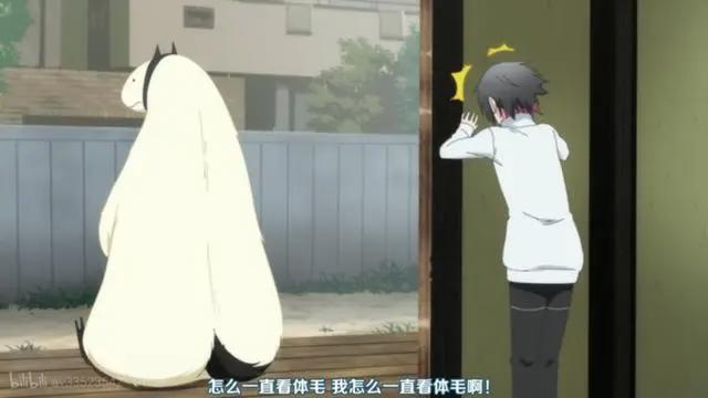 《非人先生的新娘/嫁给非人类》绒毛控的天堂？