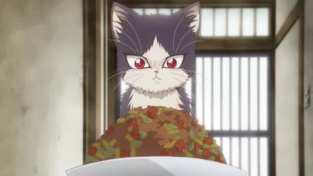 黑猫、白猫都是好猫，爱猫人士必看的五部动漫