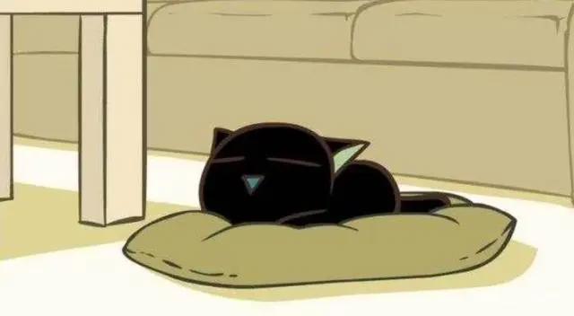 这几部能撸猫的动漫强推，从今天开始做个云主子