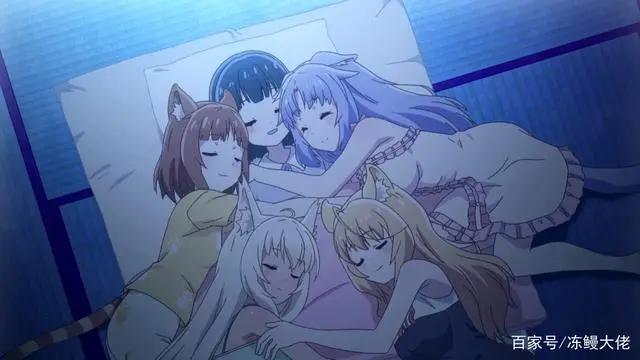 因为哥哥沉迷猫娘，妹妹差点黑化？有妹有猫才是人生赢家