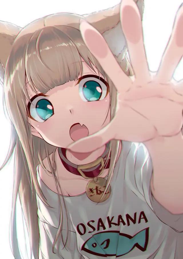 “快给我变”表情包走红，来分享一只我超喜欢的猫娘