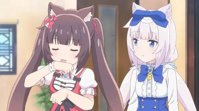 新番：盾之萌妹在猫娘面前，根本不值一提，猫娘才是一月“王道”