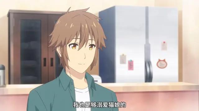 新番：盾之萌妹在猫娘面前，根本不值一提，猫娘才是一月“王道”