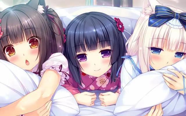 看到《Nekopara》动画这包子脸，我有点慌啊