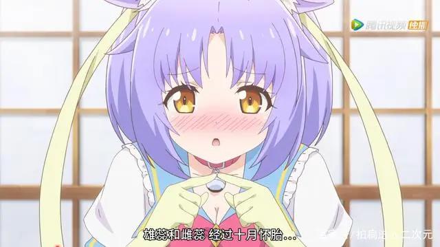 动漫：三集定律已过，看看B站版权之外有哪些番值得一看？