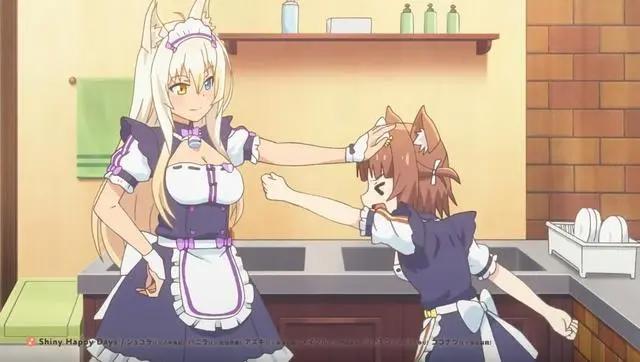 猛男必看1月新番，兽耳猫娘扎堆出场，这里是宅男天堂？