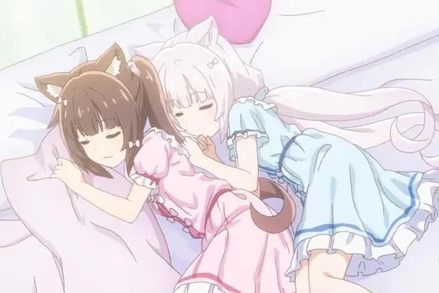 对日漫猫娘的错误认知：你以为只有两只耳朵，不，人家有四只！