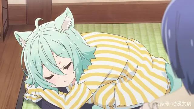 捡回一只猫娘怎么办？当然是不收养了，毕竟家里的猫娘已经够多了