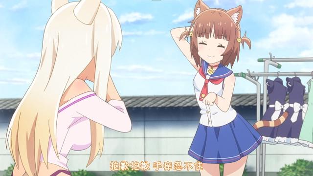 这部以猫娘为主题的Galgame，改编成动画后却做成了萌系风格