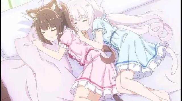 猫娘CP集锦，三分钟带你了解《猫娘乐园》