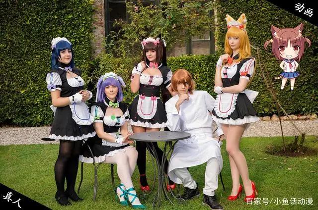 猫娘乐园现实真人版，作为大姐的猫娘红豆竟然没有Cosplay作品