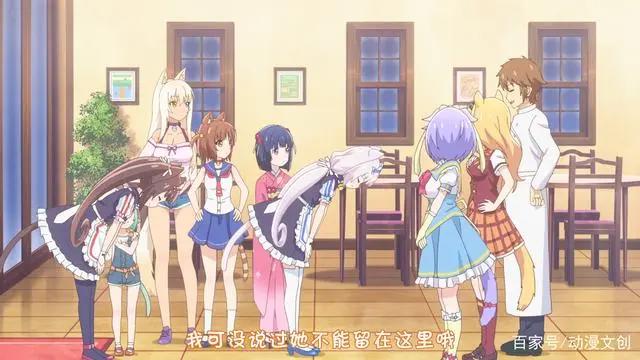 新番：男主表面上不允许，背地里却赞同收养猫娘，这就是欲擒故纵