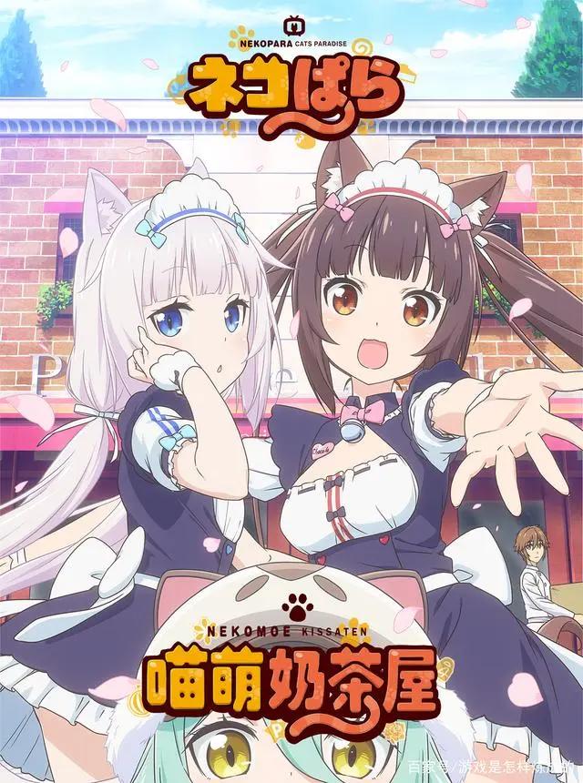 nekopara的天国实在是让人神往-简评《猫娘乐园》