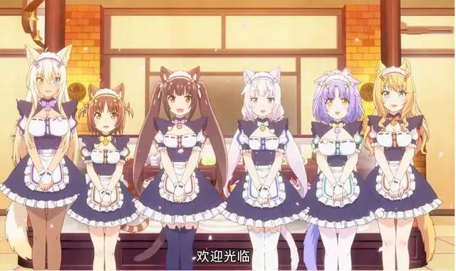 猫娘乐园：主人你有只猫娘请注意查收，猫娘的初级学习手册