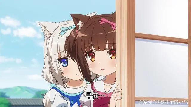 猫娘乐园原创动画已上线，讨人喜爱的新角色来啦